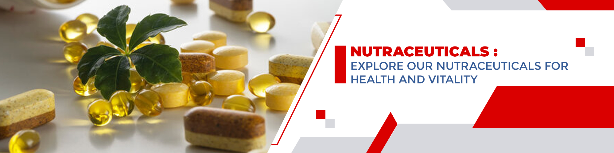 Nutraceuticals Banner